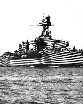 zebra-striped-camouflage