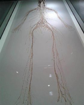 flying spaghetti monster