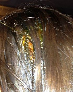 tiff head