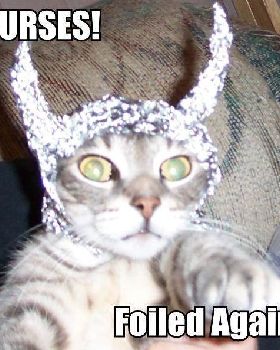 foiled againwi