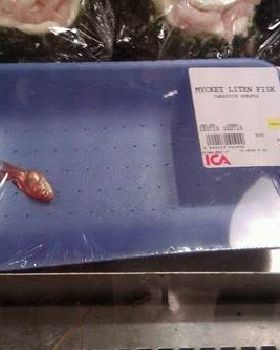 funny fish