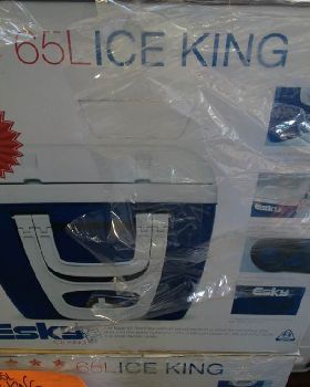 lice