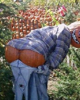 pumpkin 2