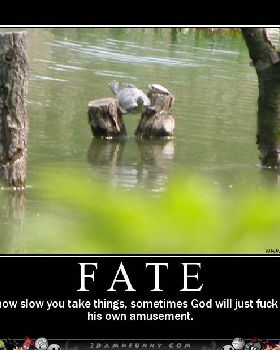 Poor-Turtle-Is-Stuck-In-Natures-Twisted-traps