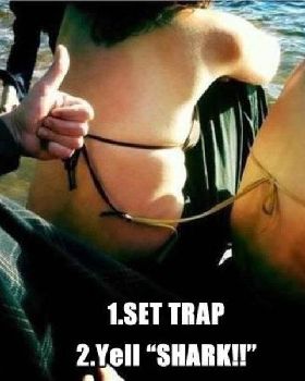 surprise-trap