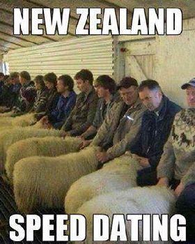Speed dating