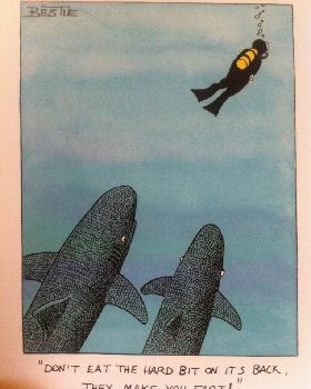 shark fart