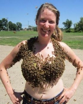 bee-bra