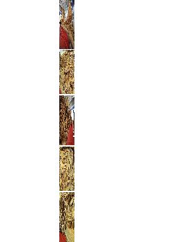 wood carving from single tree