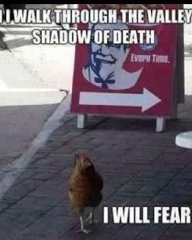 Funny pic 2