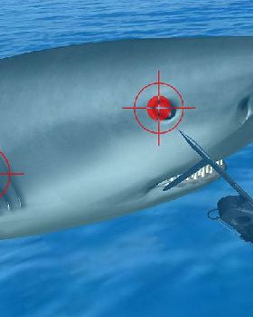670px-Survive-a-Shark-Attack-Step-4Bullet1