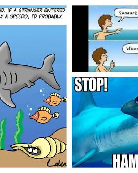 shark-montage