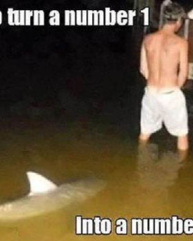shark34