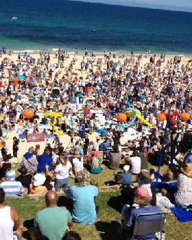 Shark protesters afraid to go in the water