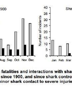 Shark attacks Qld
