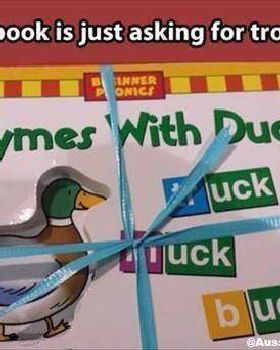duck
