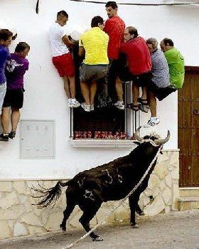 looks-funny