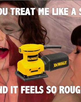 gotye-funny-treat-sander