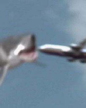 megashark