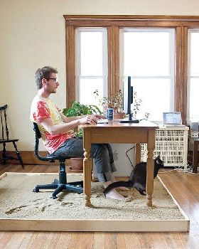 funny-sand-box-desk-cat-pooping