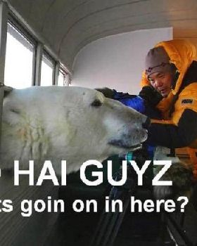 captions-lolz-14