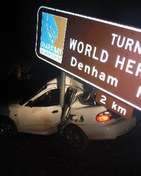 Drive safe doods