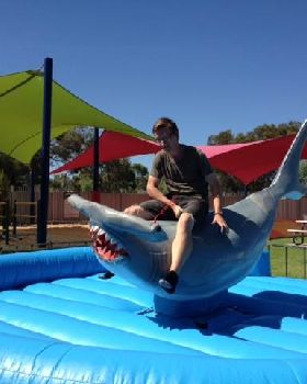 Levi On Shark 2