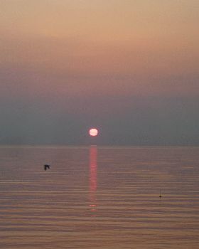 Land of the Rising sun