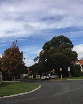 chem-con-trail
