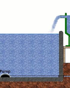 pumpfed-1