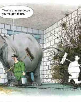 Sick-Elephant-831