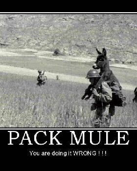 packmule