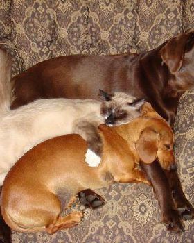 snuggle