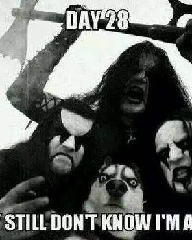 DAY 28