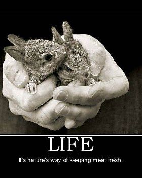 Life