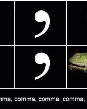 407345 299652316822730 1799697066 n