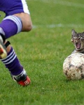 football