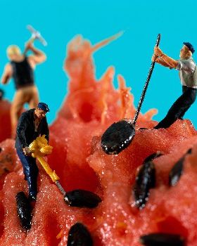 miniam-food-dioramas-pierre-javelle-akiko-ida-9