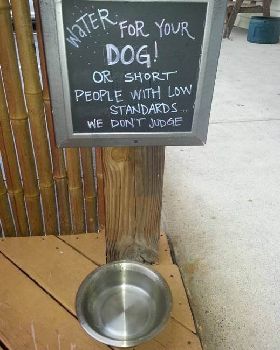 funny-sign-water-bowl-dog-bar