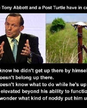 abbott