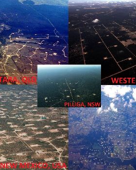 What to expect for NSW