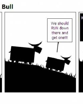 bull
