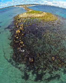Woodmans Point from above
