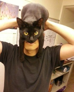 Funny-Batman-face