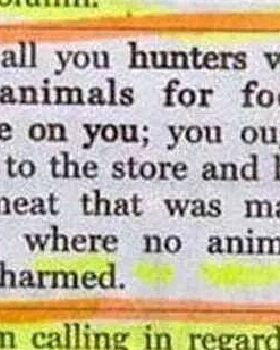 Store bought meat