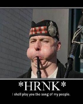 derp-pipes