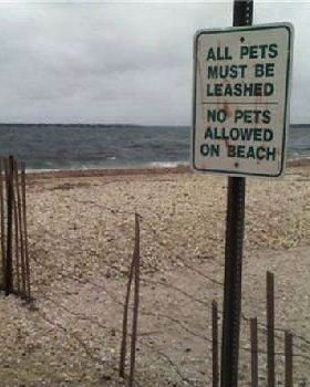 more-pics-with-irony-part2-9