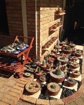 Garden with Shelves 2