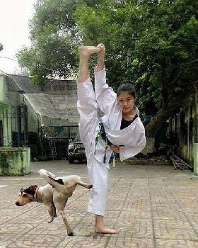 daily picdump 1660 640 01