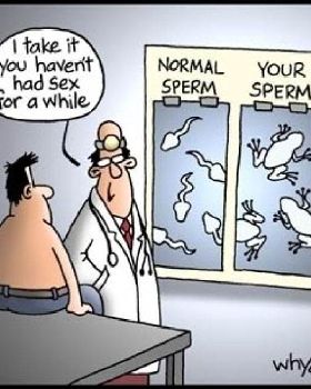 funny55